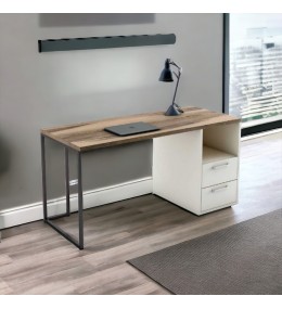 Bureau avec socle métallique inoxydable - BU4
