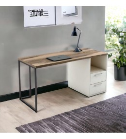 Bureau avec socle métallique inoxydable - BU4